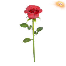 Load image into Gallery viewer, Red Rose
