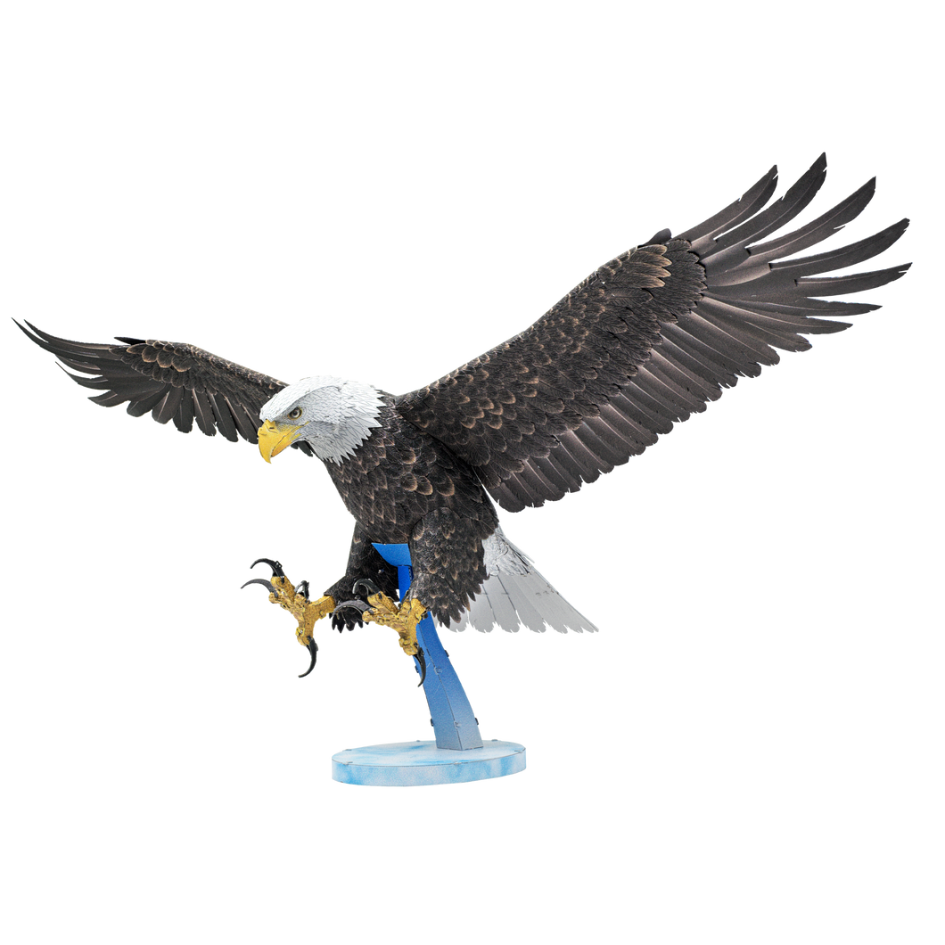 American Bald Eagle