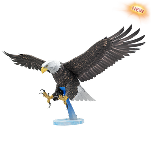 American Bald Eagle