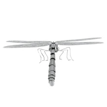 Load image into Gallery viewer, Dragonfly
