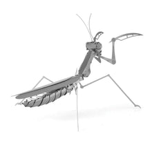 Load image into Gallery viewer, Praying Mantis
