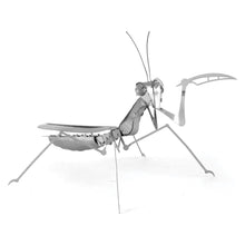 Load image into Gallery viewer, Praying Mantis
