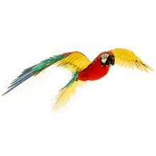 Load image into Gallery viewer, ICONX Parrot
