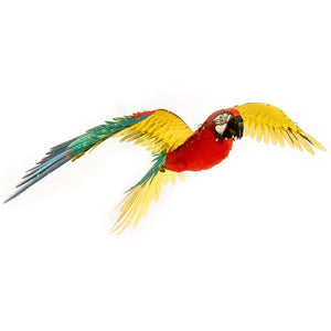 ICONX Parrot