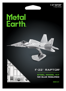 F-22 Raptor