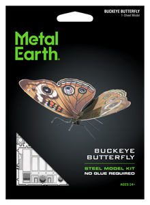 Buckeye Butterfly