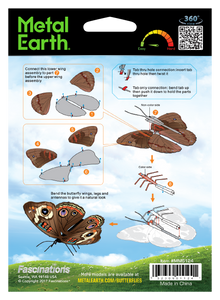 Buckeye Butterfly