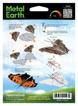 Load image into Gallery viewer, Eastern Comma Butterfly (DP)
