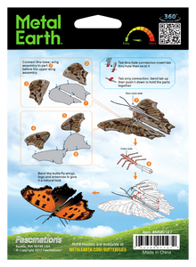 Eastern Comma Butterfly (DP)