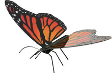 Load image into Gallery viewer, Monarch Butterfly
