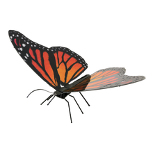 Load image into Gallery viewer, Monarch Butterfly
