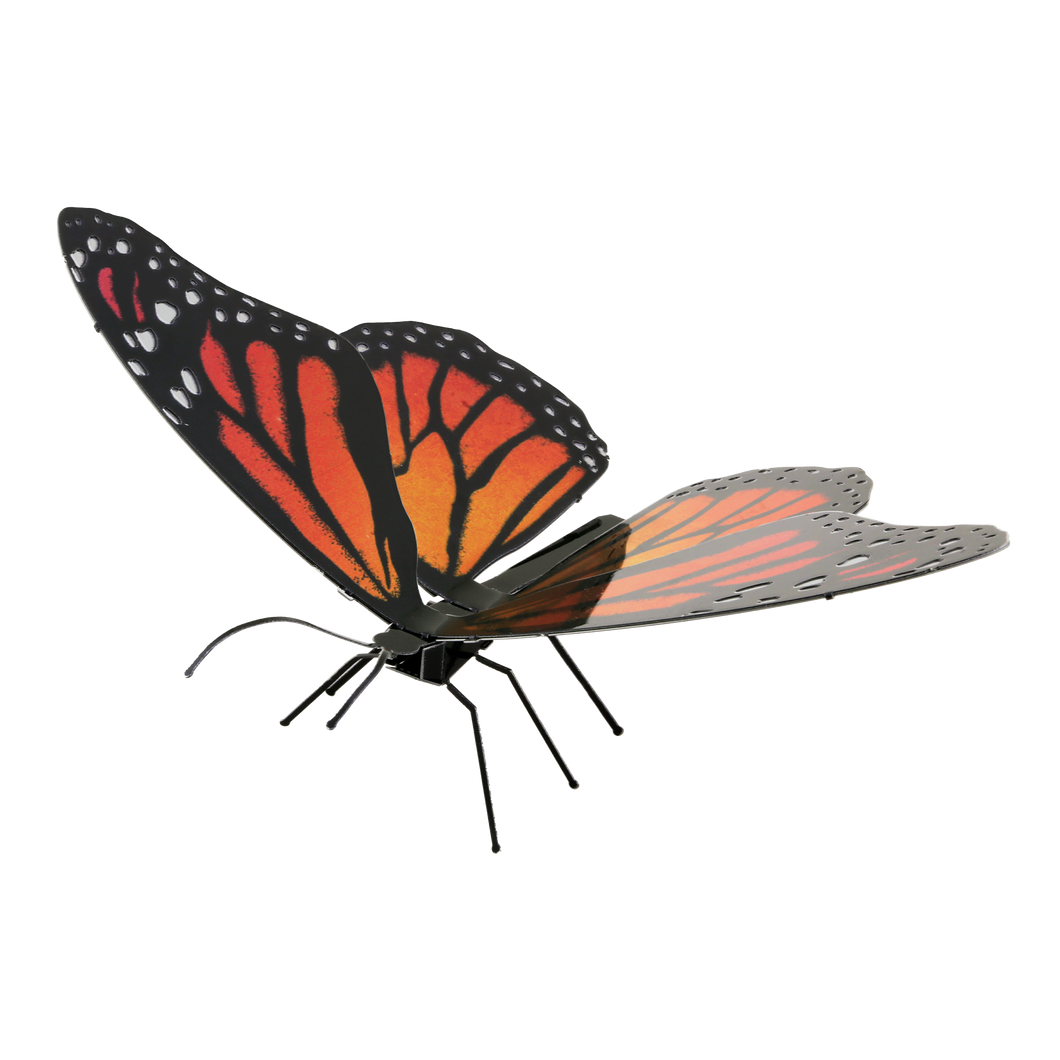 Monarch Butterfly