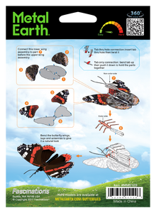 Red Admiral Butterfly