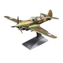 Load image into Gallery viewer, P-40 Warhawk
